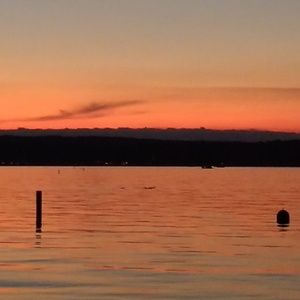 Meet your Posher, Scott